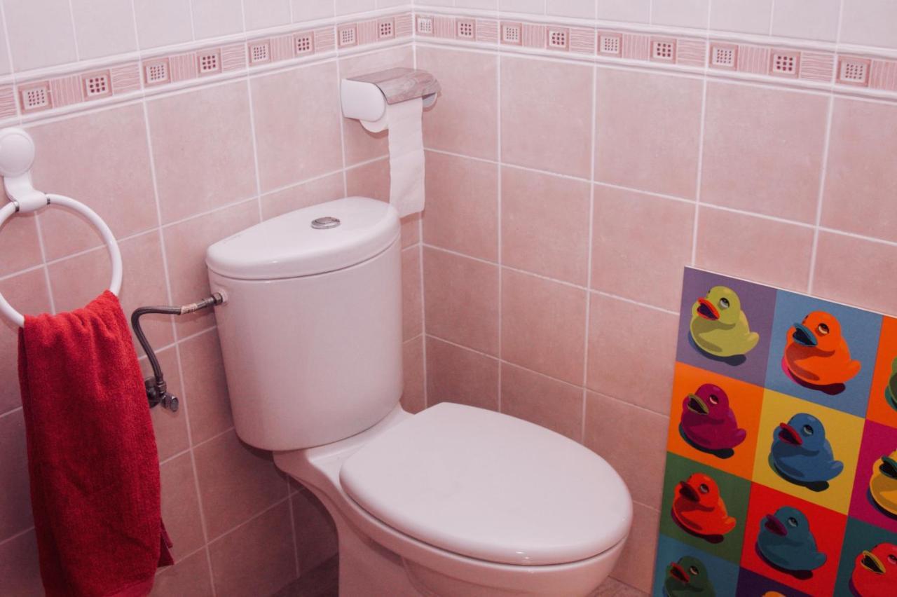 Apartamento Vista Al Ara Aínsa-Sobrarbe Extérieur photo